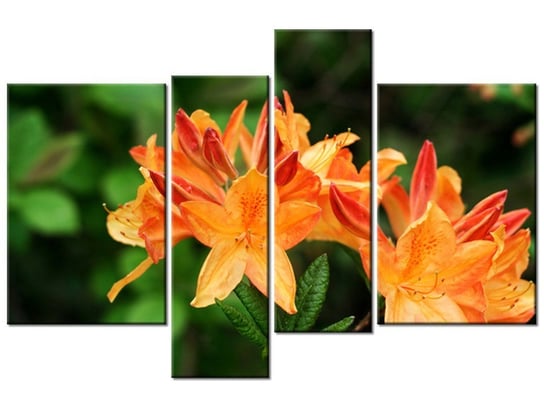 Obraz Azalia pomarańczowa, 4 elementy, 130x85 cm Oobrazy