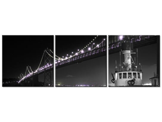 Obraz Barka pod Golden Gate - Tanel Teemusk, 3 elementy, 120x40 cm Oobrazy