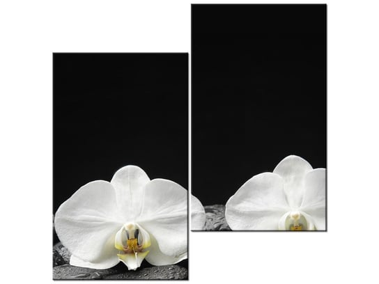 Obraz Białe storczyki, 2 elementy, 60x60 cm Oobrazy
