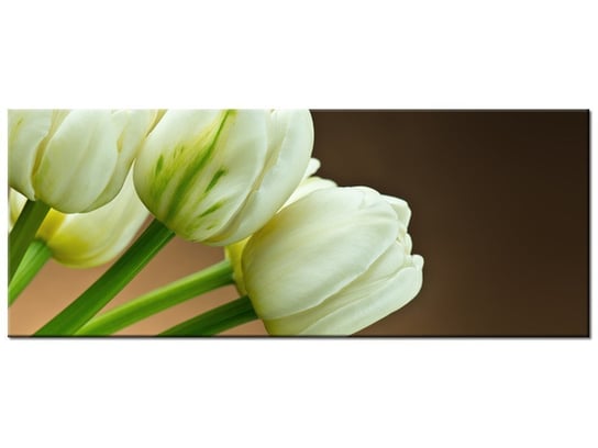 Obraz, Białe tulipany, 100x40 cm Oobrazy