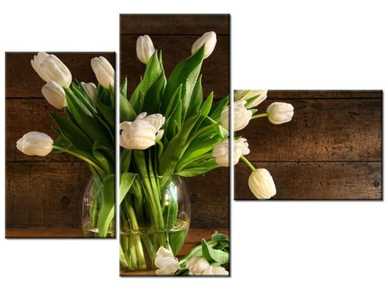 Obraz, Białe tulipany, 3 elementy, 100x70 cm Oobrazy
