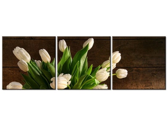 Obraz, Białe tulipany, 3 elementy, 90x30 cm Oobrazy