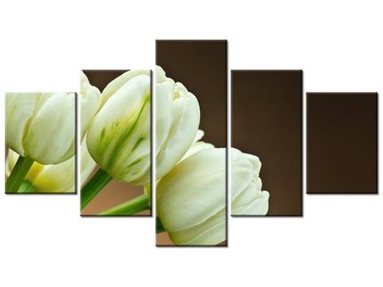 Obraz, Białe tulipany, 5 elementów, 125x70 cm Oobrazy