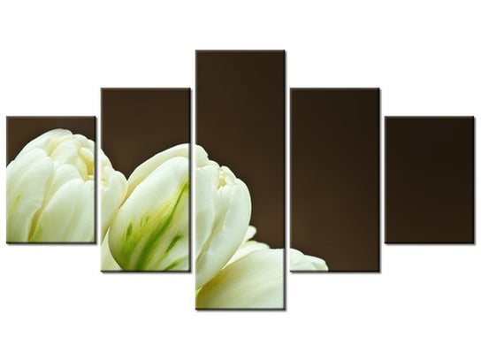 Obraz Białe tulipany, 5 elementów, 125x70 cm Oobrazy