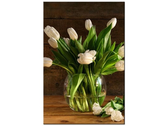 Obraz Białe tulipany, 80x120 cm Oobrazy