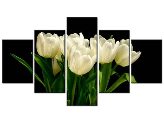 Obraz Białe tulipany  - Mark Freeth, 5 elementów, 125x70 cm Oobrazy