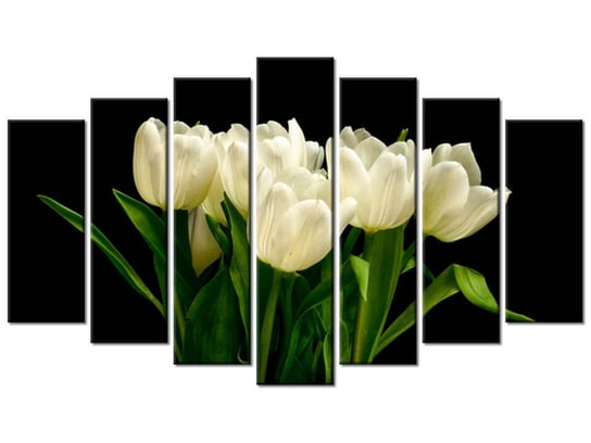 Obraz, Białe tulipany - Mark Freeth, 7 elementów, 140x80 cm Oobrazy