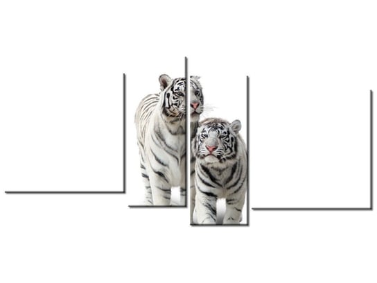 Obraz Białe tygrysy, 4 elementy, 120x55 cm Oobrazy