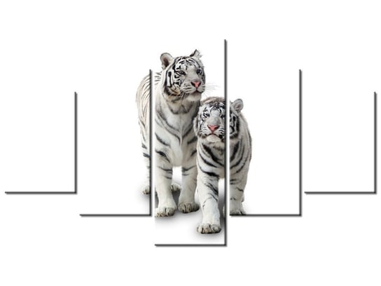 Obraz, Białe tygrysy, 5 elementów, 125x70 cm Oobrazy