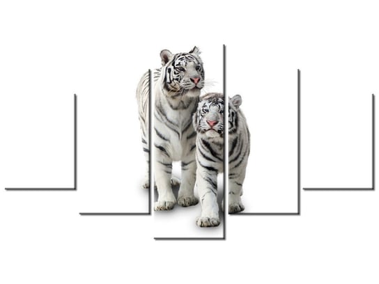 Obraz, Białe tygrysy, 5 elementów, 150x80 cm Oobrazy