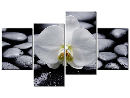 Obraz Biały Storczyk, 4 elementy, 120x70 cm Oobrazy