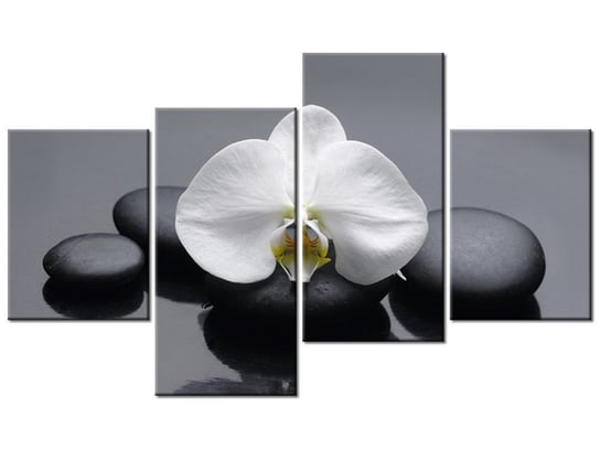 Obraz Biały storczyk, 4 elementy, 120x70 cm Oobrazy