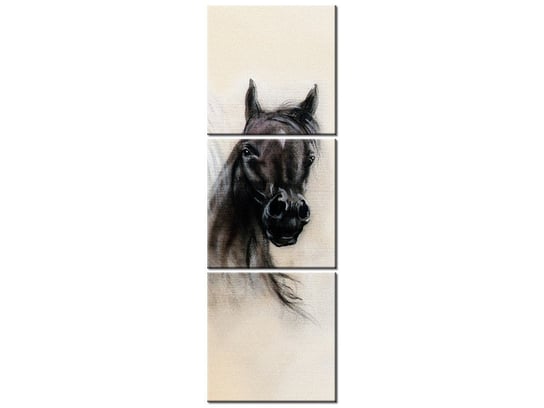 Obraz Black and White, 3 elementy, 30x90 cm Oobrazy