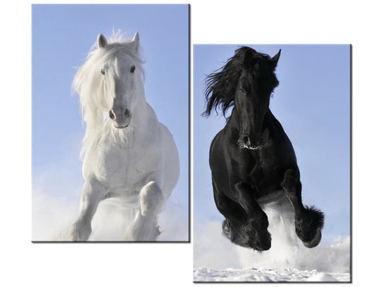 Obraz, Black and white konie, 2 elementy, 80x70 cm Oobrazy