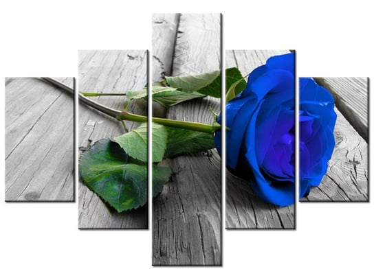 Obraz, Bławatkowa róża, 5 elementów, 100x70 cm Oobrazy
