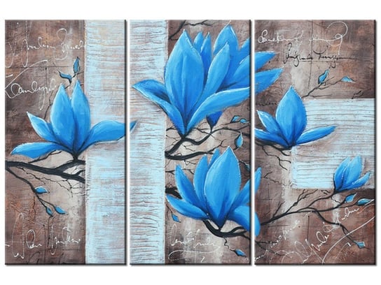 Obraz Błękitna magnolia, 3 elementy, 90x60 cm Oobrazy