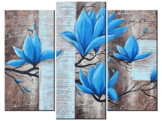 Obraz Błękitna magnolia, 3 elementy, 90x70 cm Oobrazy