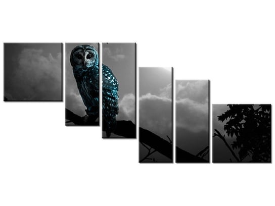Obraz Błękitna sowa, 6 elementów, 220x100 cm Oobrazy