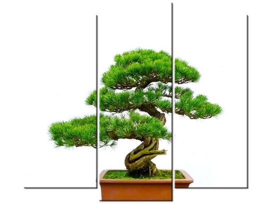 Obraz Bonsai, 3 elementy, 90x80 cm Oobrazy