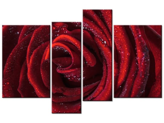 Obraz Bordowa róża, 4 elementy, 130x85 cm Oobrazy