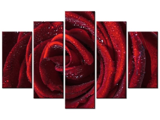 Obraz, Bordowa róża, 5 elementów, 100x63 cm Oobrazy