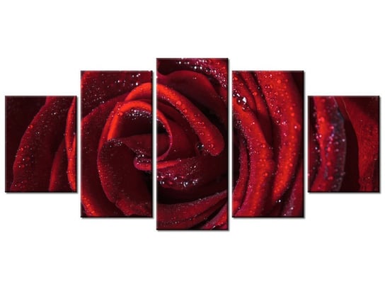 Obraz Bordowa róża, 5 elementów, 150x70 cm Oobrazy