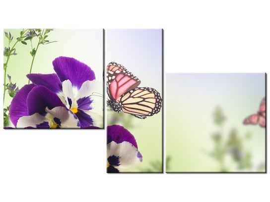 Obraz Bratki i motylki, 3 elementy, 90x50 cm Oobrazy