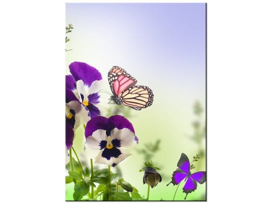 Obraz Bratki i motylki, 50x70 cm Oobrazy