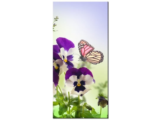 Obraz Bratki i motylki, 55x115 cm Oobrazy