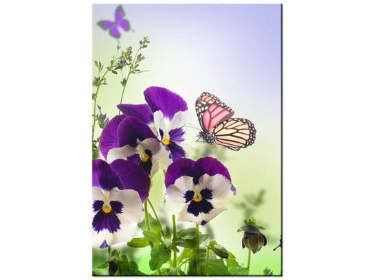 Obraz Bratki i motylki, 70x100 cm Oobrazy