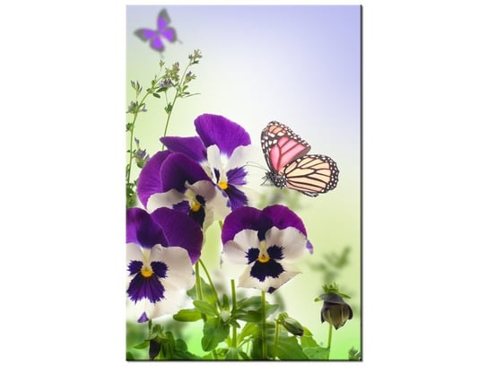 Obraz Bratki i motylki, 80x120 cm Oobrazy