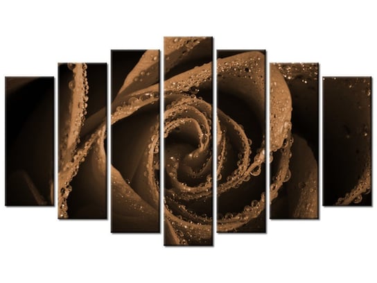 Obraz Brązowa róża, 7 elementów, 140x80 cm Oobrazy