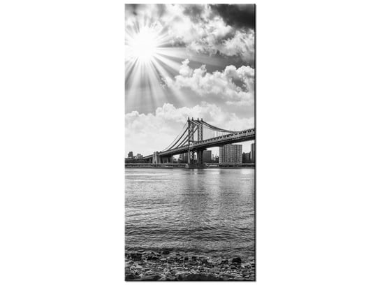 Obraz Brooklyn Nowy Jork, 55x115 cm Oobrazy