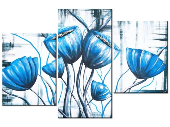Obraz Bukiet niebieskich maków, 3 elementy, 90x60 cm Oobrazy