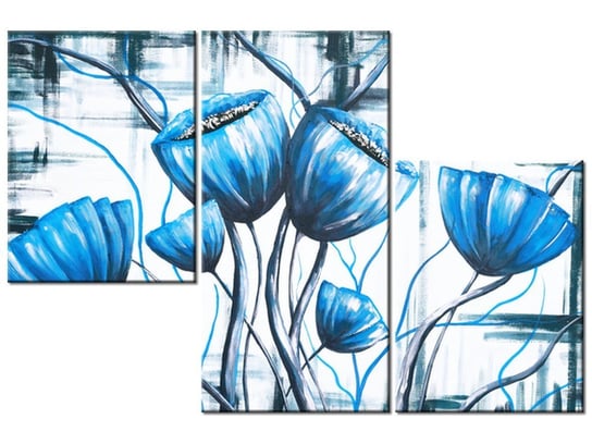 Obraz Bukiet niebieskich maków, 3 elementy, 90x60 cm Oobrazy