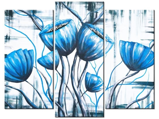 Obraz Bukiet niebieskich maków, 3 elementy, 90x70 cm Oobrazy