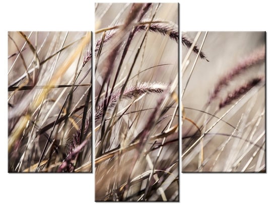 Obraz, Buszujący w trawie - Nina Matthews, 3 elementy, 90x70 cm Oobrazy
