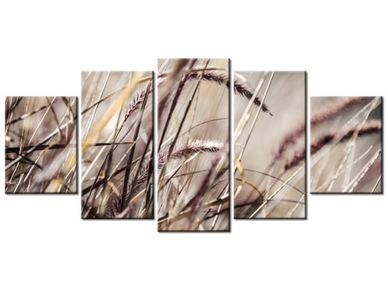 Obraz, Buszujący w trawie - Nina Matthews, 5 elementów, 150x70 cm Oobrazy
