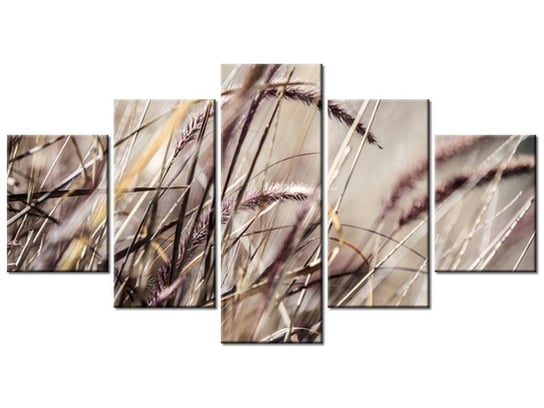 Obraz Buszujący w trawie-Nina Matthews, 5 elementów, 150x80 cm Oobrazy