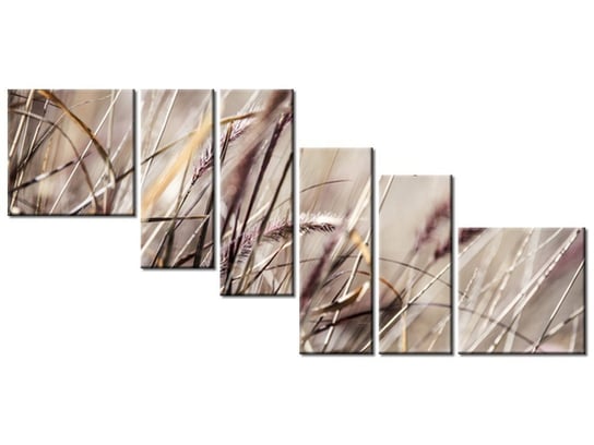 Obraz Buszujący w trawie - Nina Matthews, 6 elementów, 220x100 cm Oobrazy