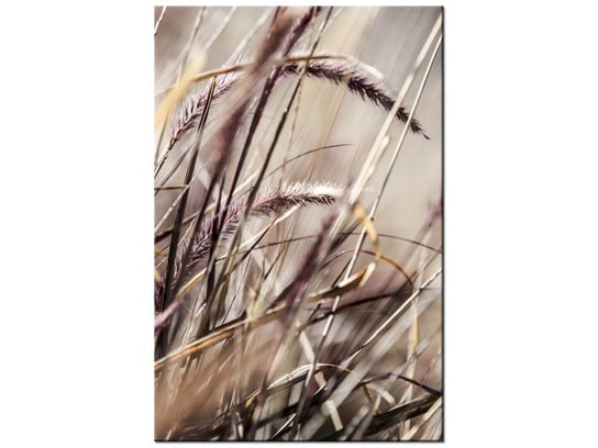 Obraz Buszujący w trawie-Nina Matthews, 80x120 cm Oobrazy