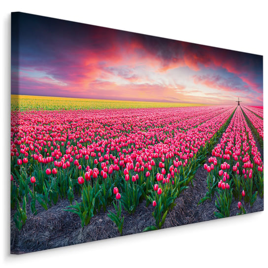 Obraz Canvas Do Jadalni Pole Kwitnących Tulipanów PEJZAŻ 3D Kwiaty 70cm x 50cm Muralo