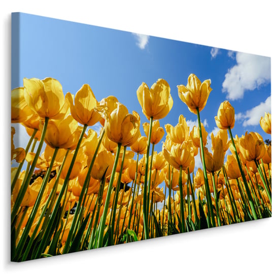 Obraz Canvas Do Jadalni ŻÓŁTE Tulipany Pole Natura Dekoracja 3D 120cm x 80cm Muralo