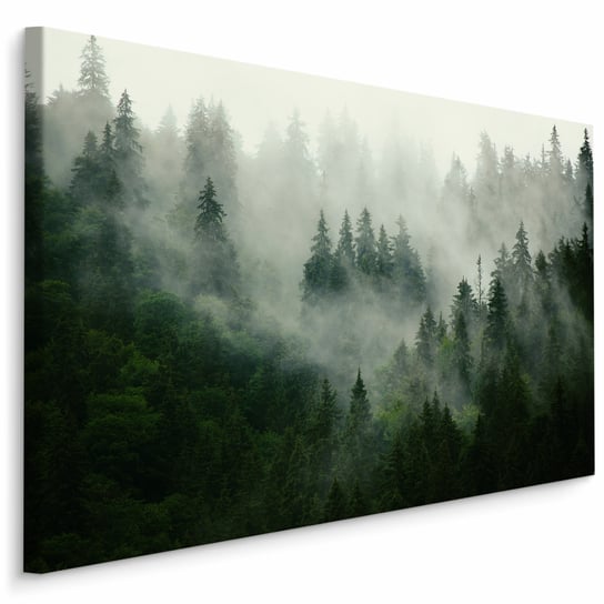 Obraz CANVAS Do Salonu Las WE MGLE Krajobraz Natura Drzewa Góry 100cm x 70cm Muralo