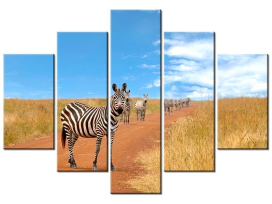 Obraz Ciekawskie zebry, 5 elementów, 150x105 cm Oobrazy
