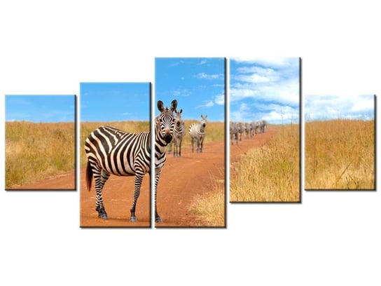 Obraz Ciekawskie zebry, 5 elementów, 150x70 cm Oobrazy