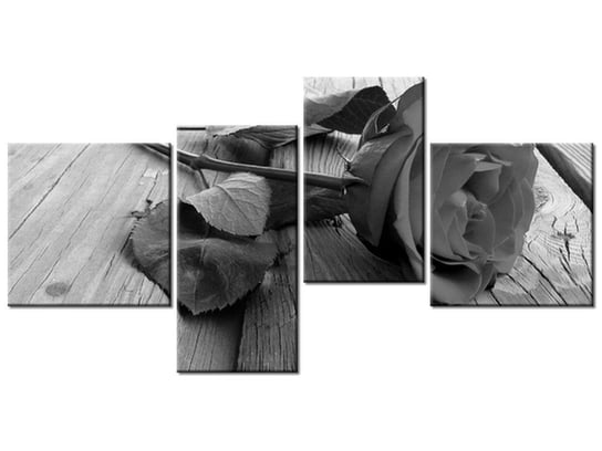 Obraz Czarna piękność, 4 elementy, 140x70 cm Oobrazy