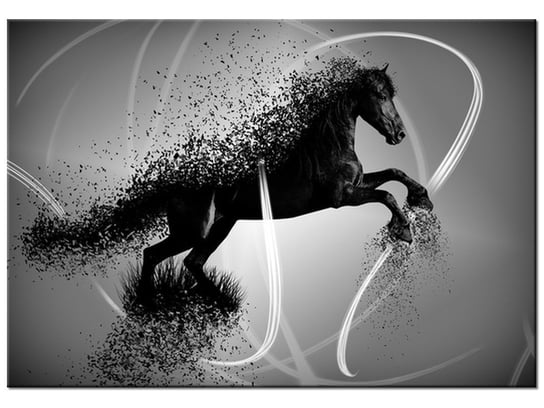 Obraz Czarno biały koń fragmentaryzacja - Jakub Banaś, 100x70 cm Oobrazy