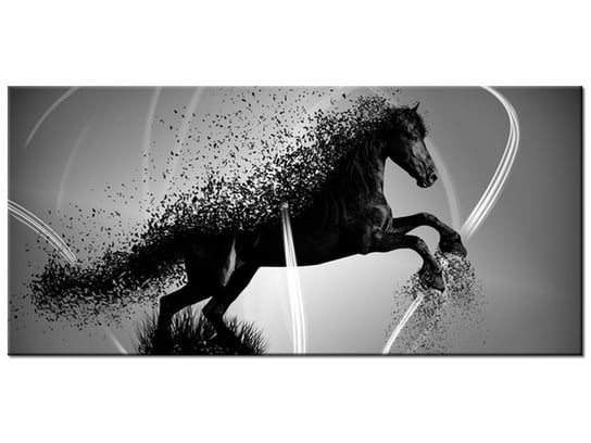 Obraz Czarno biały koń fragmentaryzacja - Jakub Banaś, 115x55 cm Oobrazy