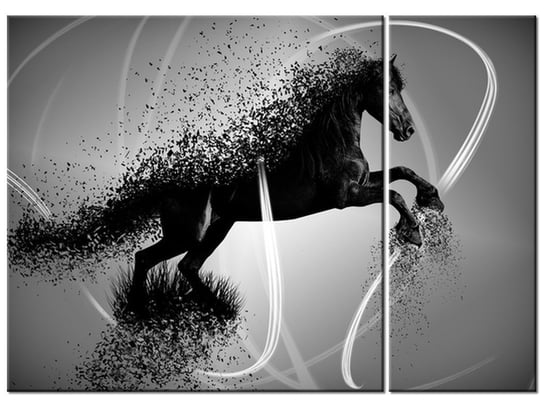 Obraz Czarno biały koń fragmentaryzacja - Jakub Banaś, 2 elementy, 70x50 cm Oobrazy